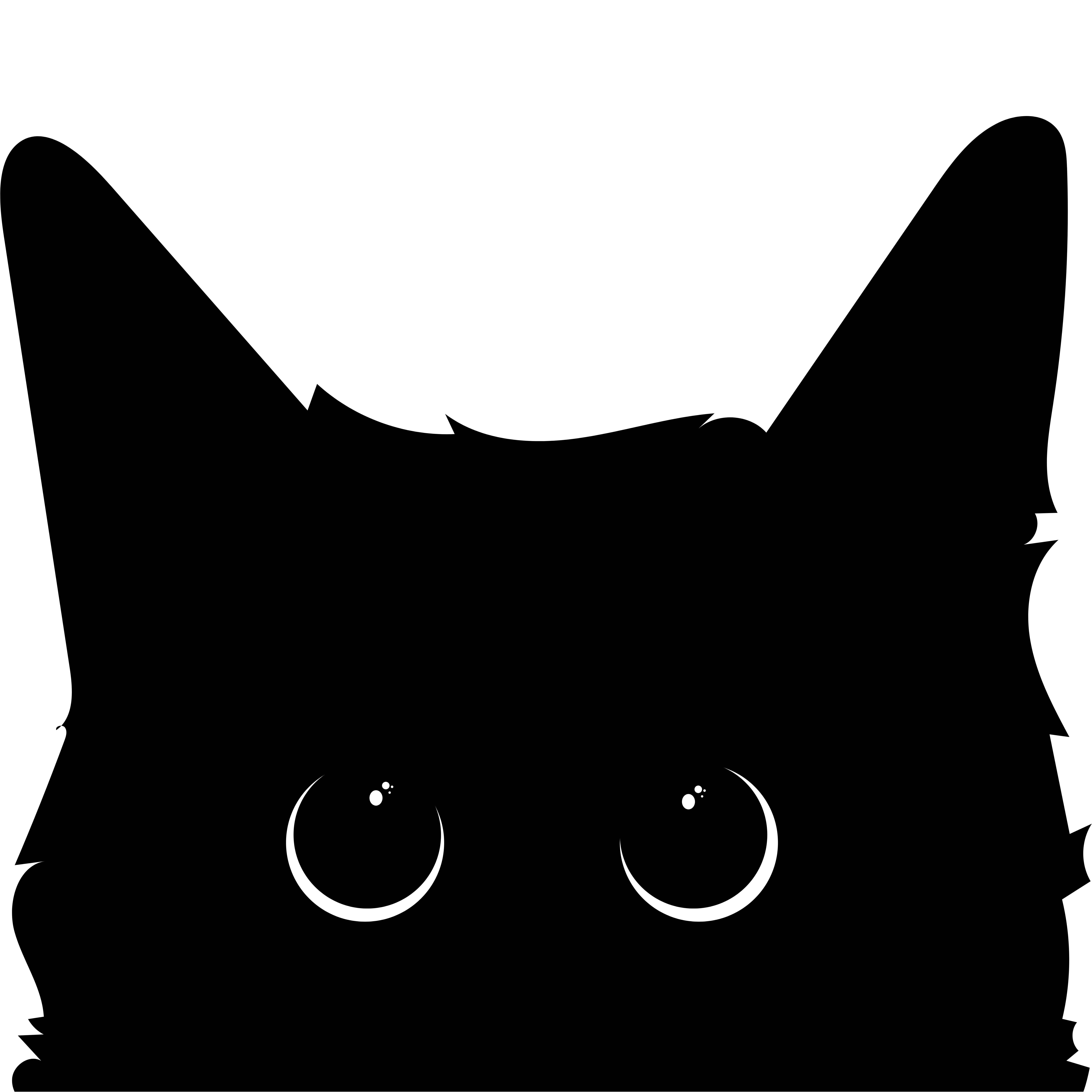 Cat Looking